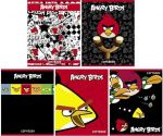 Тетрадь 48л А5ф ЛИНИЯ выб лак серия -ANGRY BIRDS-