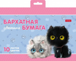 Набор цветной бархатной бумаги "Hatber", 10л, 10цв, А5, в папке, серия "Кошарики"
