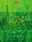 Бизнес-блокнот "Hatber", 80л, А5, линия, 5-ти цветный срез, твёрдый переплёт, серия "Гармония цвета"