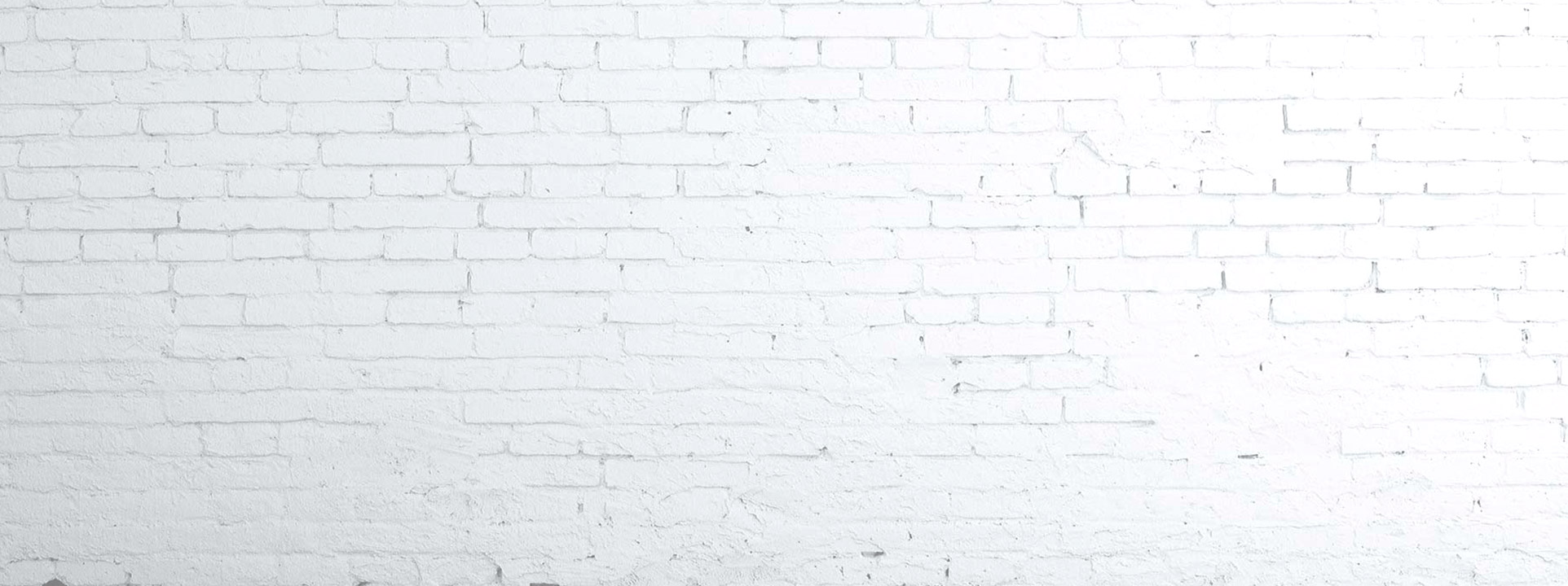 Тетради: Коты в искусстве