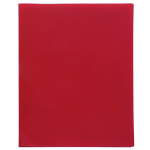 Папка пластиковая "Hatber", А4, на 2-х кольцах, 500мкм, корешок 25мм, серия "Line - Красная"