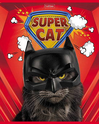 Тетрадь "Hatber", 48л, А5, клетка,на скобе, серия "Supercat"