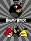 Бизнес-блокнот "Hatber", 80л, А5, клетка, 5 цветный блок, твёрдый переплёт, серия "Angry Birds №4"