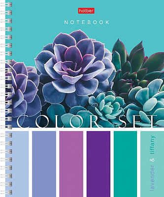 Тетрадь "Hatber", 80л, А5, клетка, на гребне, серия "Color Set"