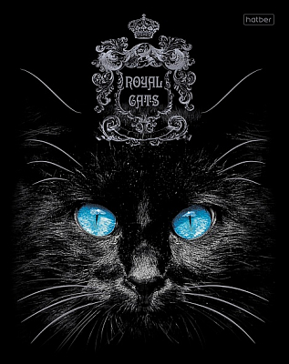 Тетрадь "Hatber", 48л, А5, клетка, 3D лак и фольга, ламинация, на скобе, серия "Royal Cats"