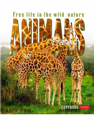 Тетрадь "Hatber", 48л, А5, клетка, на скобе, серия "Animals"