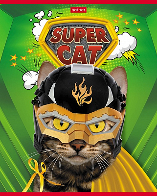 Тетрадь "Hatber", 48л, А5, клетка,на скобе, серия "Supercat"
