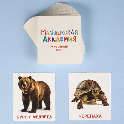 Игра обучающая "Hatber", 60 карточек, 90x110мм, серия "Развивающие карточки: Малышковая академия - Животный мир", в картонной упаковке