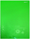 Папка с двумя боковыми карманами, р=0.4мм, DISCOVERY, зеленая арт.255049-03
