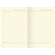 Ежедневник недатированный "Berlingo", 160л, B6, полноцветный срез, серия "Spring - Синий"