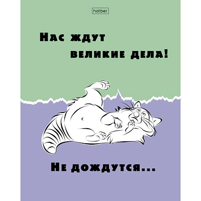 Тетрадь "Hatber Eco", 48л, А5, клетка, на скобе, серия "Еноты"