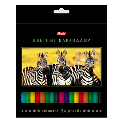 Карандаши "Hatber", 24 цвета, серия "Дикий мир", в картонной упаковке