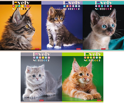 Тетрадь "Hatber", 60л, А5, клетка, на скобе, серия "Все любят котиков"