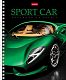 Тетрадь "Hatber", 48л, А5, клетка, лак, на гребне, серия "Sport Car"