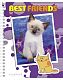 Тетрадь "Hatber VK", 48л, А5, клетка, на гребне, серия "Best Friends"