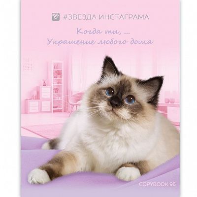 Тетрадь общая "BG", 96л, А5, клетка, на скобе, серия "Звезда Инстаграма"
