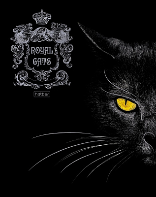Тетрадь "Hatber", 48л, А5, клетка, 3D лак и фольга, ламинация, на скобе, серия "Royal Cats"