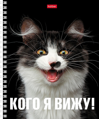 Тетрадь "Hatber", 48л, А5, клетка, на гребне, серия "Привет"