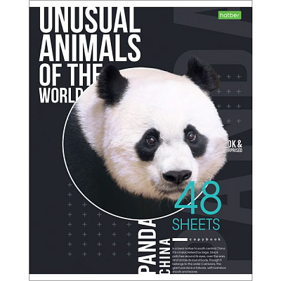 Тетрадь "Hatber Eco", 48л, А5, клетка, на скобе, серия "Animals"