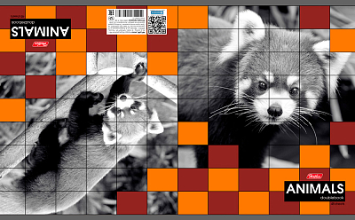 Тетрадь двойная "Hatber", 48л, А5, клетка, на скобе, серия "Animal World"