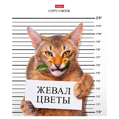 Тетрадь "Hatber", 48л, А5, клетка, на скобе, серия "Кот-обормот"