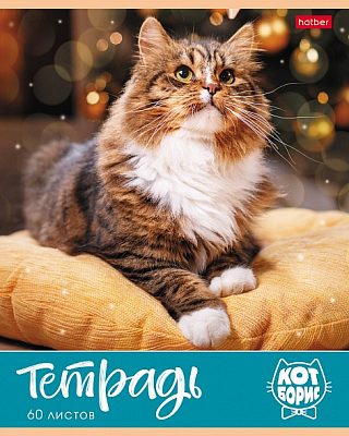 Тетрадь "Hatber", 60л, А5, клетка, на скобе, серия "Кот Борис"