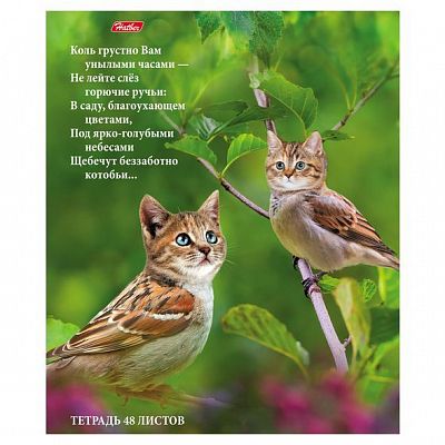 Тетрадь "Hatber", 48л, А5, клетка, скруглённые углы, на скобе, серия "Котоприколы"