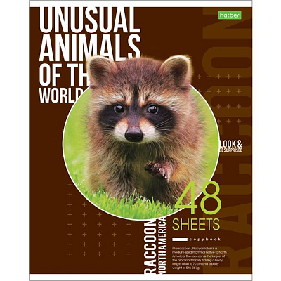 Тетрадь "Hatber Eco", 48л, А5, клетка, на скобе, серия "Animals"