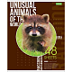 Тетрадь "Hatber Eco", 48л, А5, клетка, на скобе, серия "Animals"
