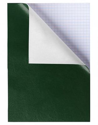 Тетрадь "Hatber NN", 96л, А4, клетка, на скобе, обложка бумвинил, зелёная