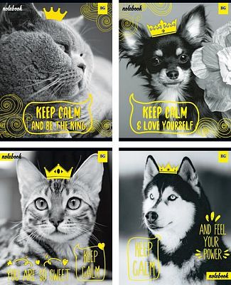 Тетрадь школьная "BG", 48л, А5, клетка, лак, ламинация, на скобе, серия "Keep Calm"