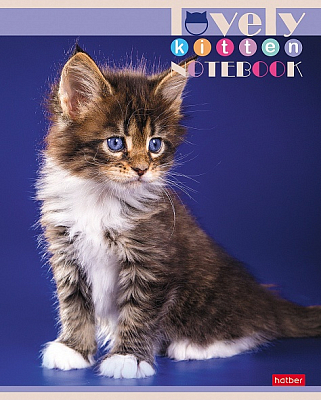 Тетрадь "Hatber", 60л, А5, клетка, на скобе, серия "Все любят котиков"