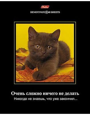 Тетрадь 48л А5ф клетка на скобе серия -Демотиваторы- Выпуск №10