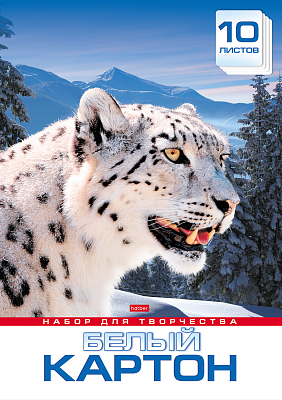 Набор белого картона "Hatber", 10л, А3, 297x420мм, в папке, серия "Снежный барс"