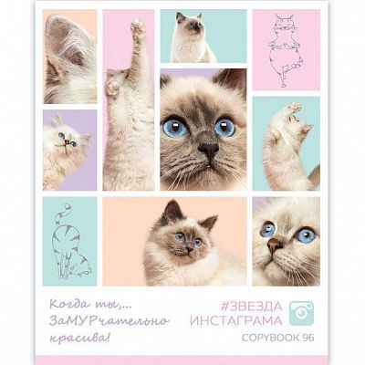 Тетрадь общая "BG", 96л, А5, клетка, на скобе, серия "Звезда Инстаграма"