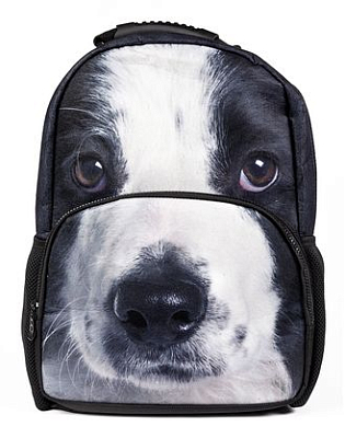 Рюкзак "Hatber HD", 43,5x30x11см, флис, 2 отделения, 2 кармана, серия "Trend Line - Puppy"