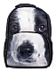 Рюкзак "Hatber HD", 43,5x30x11см, флис, 2 отделения, 2 кармана, серия "Trend Line - Puppy"