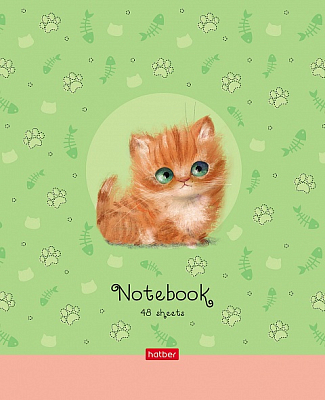 Тетрадь "Hatber", 48л, А5, клетка, на скобе, серия "Кошарики"