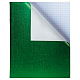 Тетрадь "Hatber", 48л, А5, клетка, обложка бумвинил, на скобе, серия "Metallic - Зелёная"