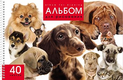 Альбом для рисования "Hatber", 40л, А4, перфорация, на спирали, серия "Ассорти №1"