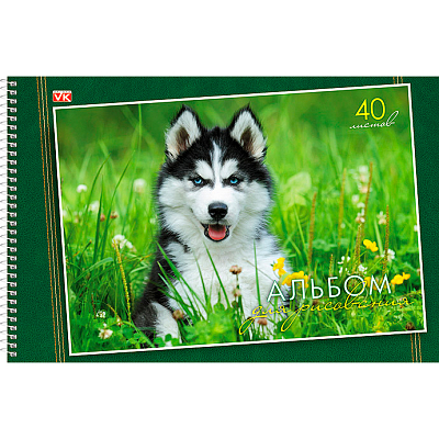 Альбом для рисования "Hatber Eco", 40л, А4, на спирали, серия "Мир вокруг нас"