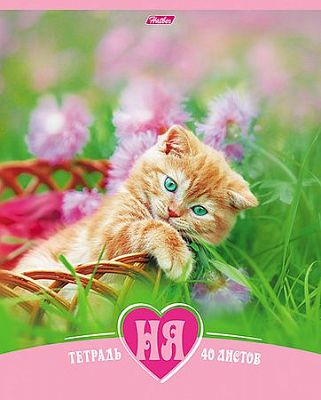 Тетрадь "Hatber", 40л, А5, клетка, на скобе, серия "Котята НЯ"