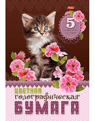 Набор цветной бумаги "Hatber", 5л, 5цв, А4, голографическая, в папке, серия "Котёнок в цветах"