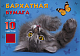 Набор цветной бархатной бумаги "Hatber", 10л, 10цв, А5, в папке, серия "Котёнок с бабочкой"