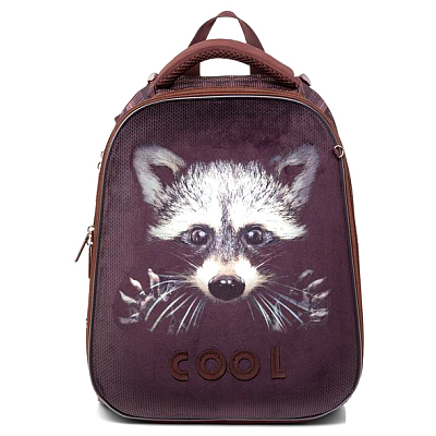 Рюкзак "Hatber", 37x29x17см, EVA-материал, 2 отделения, серия "Ergonomic - Енотик"