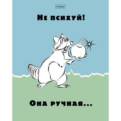 Тетрадь "Hatber Eco", 48л, А5, клетка, на скобе, серия "Еноты"