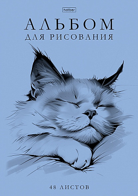 Альбом для рисования "Hatber", 48л, А4, пластиковая обложка с печатью, на скобе, серия "Ассорти №2"