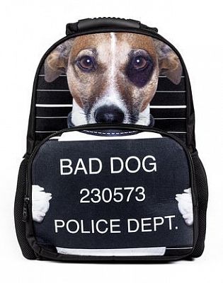 Рюкзак "Hatber HD", серия "Trend Line Bad dog"