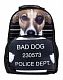Рюкзак "Hatber HD", серия "Trend Line Bad dog"