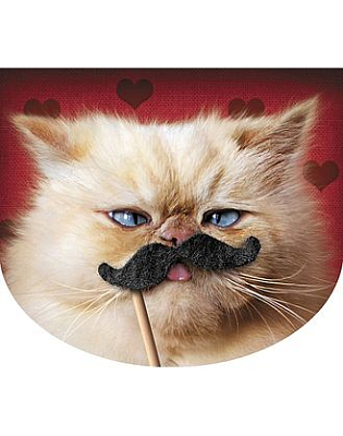 Блокнот "Hatber", 48л, А6, клетка, с фигурной высечкой, на клею, серия "Стоп-кадр №2"